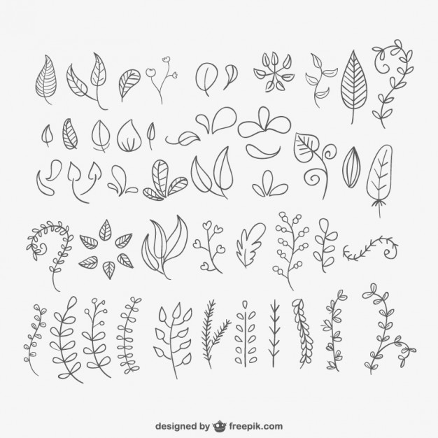 626x626 Hand Drawn Leaves Pack Vector Free Download - Leaf Pattern Drawing