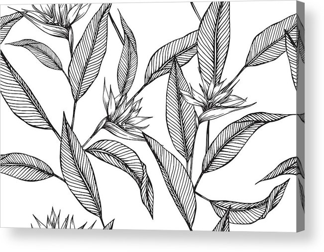 651x507 Hawaiian Pattern Seamless Background With Flower And Leaf Drawing - Leaf Pattern Drawing