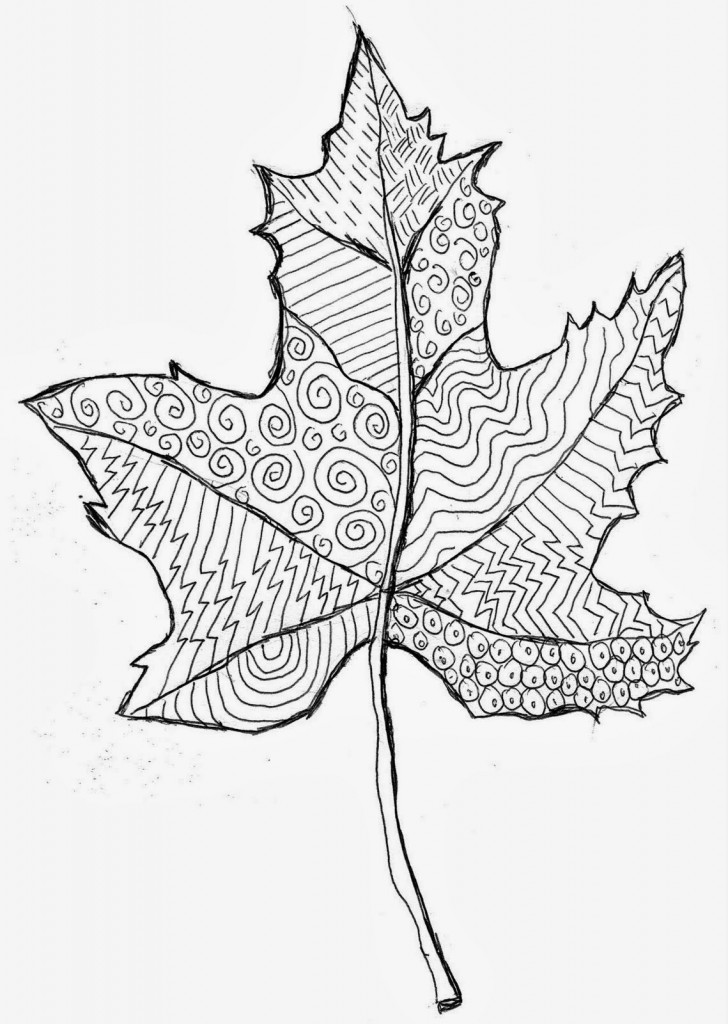 728x1024 Line Pattern Leaf Art Projects For Kids - Leaf Pattern Drawing