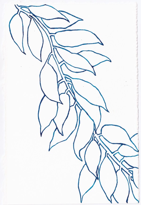 600x870 Squid Drawing + Leafy - Leaf Pattern Drawing