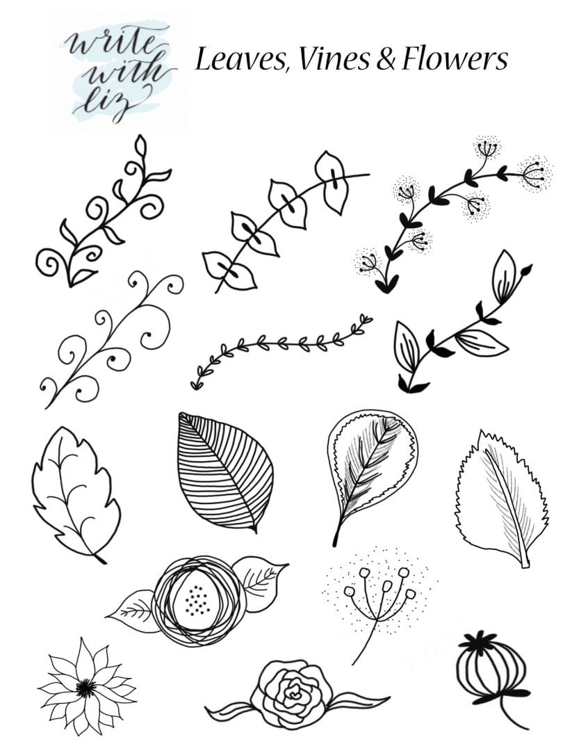 810x1080 Free Printable Hand Drawn Accents Dawn Nicole - Leaf Vine Drawing