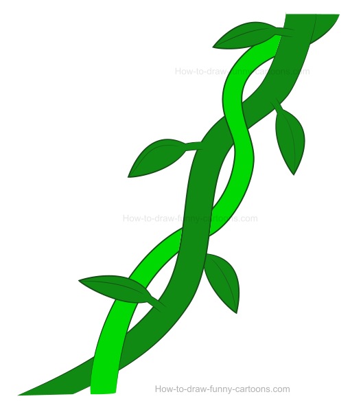 510x600 How To Draw Vines - Leaf Vine Drawing