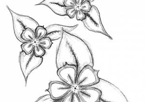 300x210 Pencil Sketch Leaves Vines Luann Kessi Quilting Sketch Bookbig - Leaf Vine Drawing