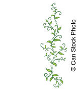 153x178 vine stock photo images vine royalty free pictures - Leaf Vine Drawing