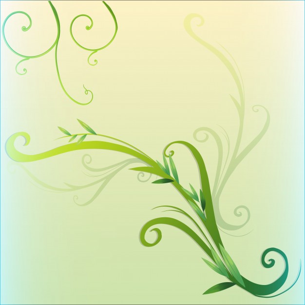 626x626 Vine Vectors, Photos And Free Download - Leaf Vine Drawing