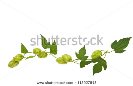 450x291 young leaf light green leaf vine clipart - Leaf Vine Drawing