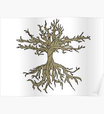 210x230 Leafless Tree Drawing Posters Redbubble - Leafless Tree Drawing