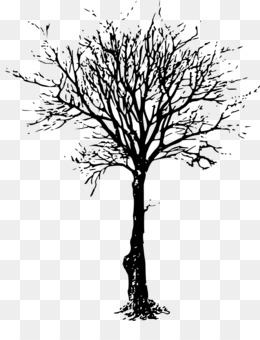 260x340 Leafless Tree Png - Leafless Tree Drawing