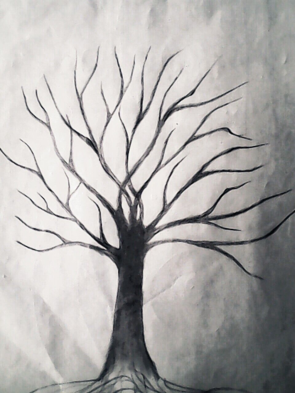 Leafless Tree Drawing at Explore collection of