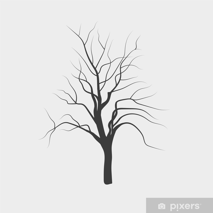 700x700 Vector Drawing Silhouettes Of Leafless Tree Wall Mural Pixers - Leafless Tree Drawing