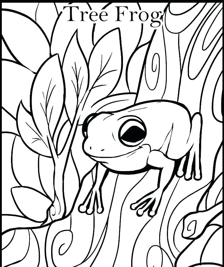 736x877 leap frog coloring pages related post leapfrog coloring pages - Leapfrog Drawing