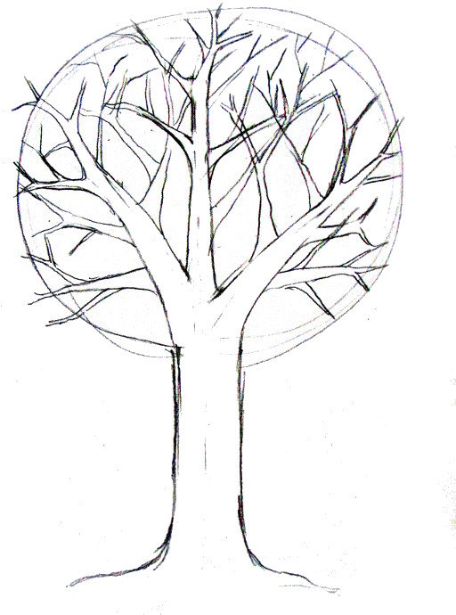 512x690 How To Draw A Tree - Learn Drawing