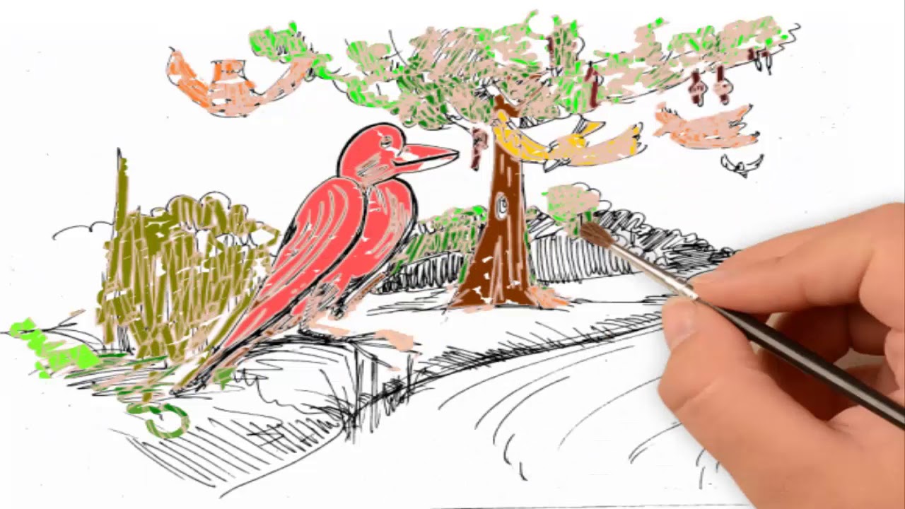 1280x720 Learn Free Hand Drawing And Easy Simple Color Fill Rough - Learn Drawing Free