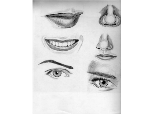 Learn To Draw Drawing at PaintingValley.com | Explore collection of ...