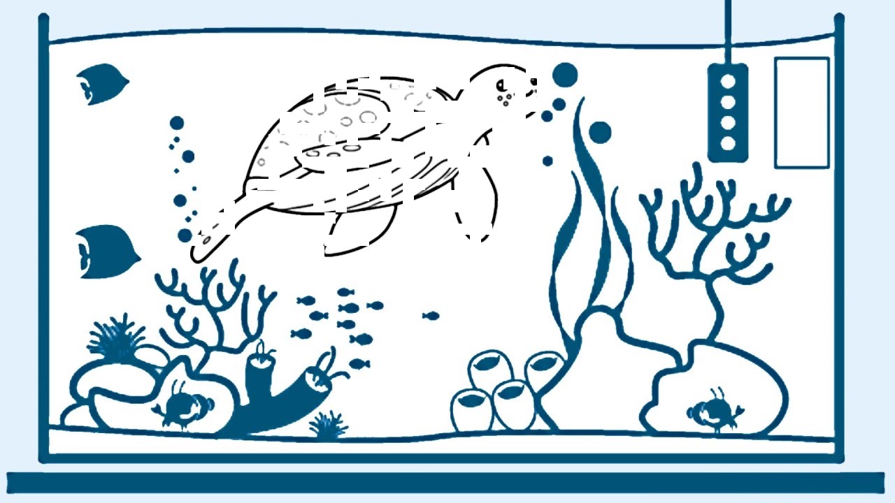 1280x720 leatherback sea turtle - Leatherback Sea Turtle Drawing