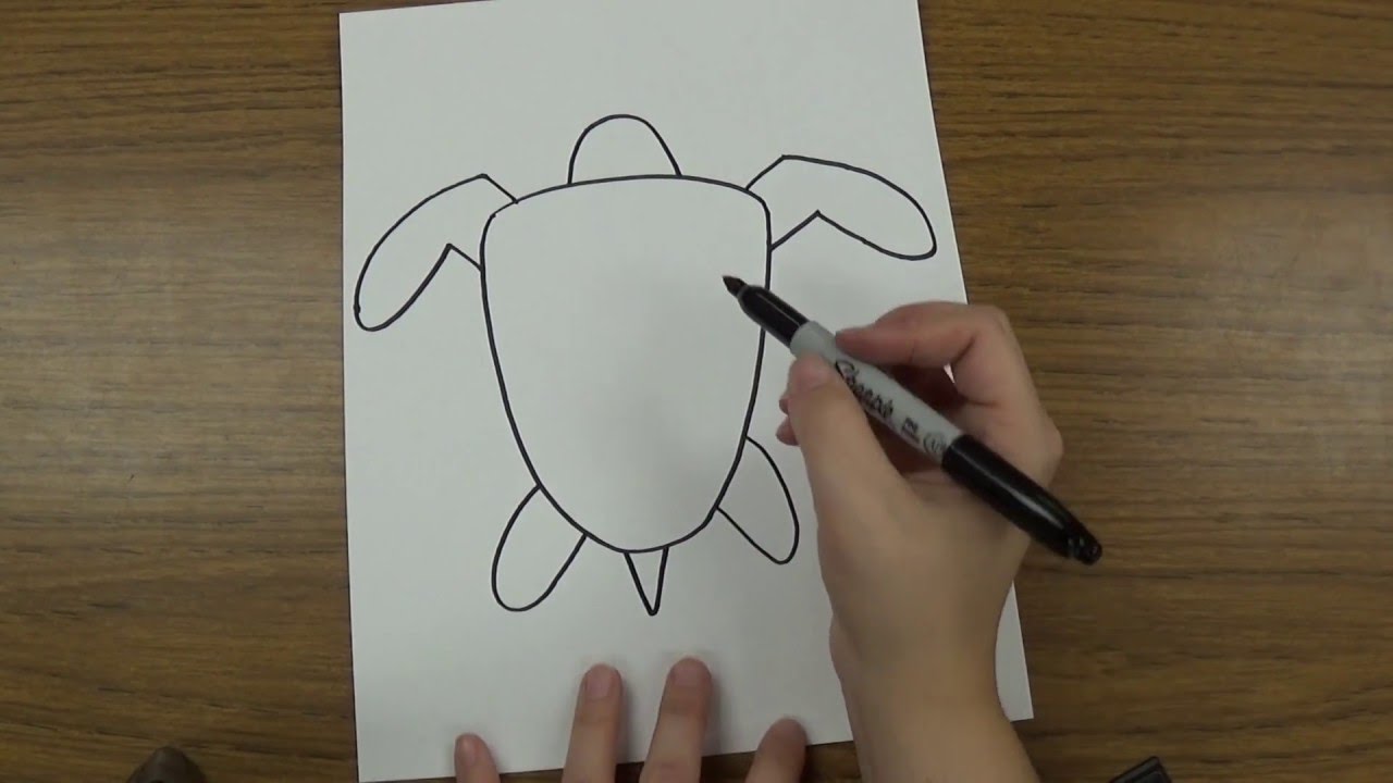 1280x720 how to draw a sea turtle - Leatherback Sea Turtle Drawing