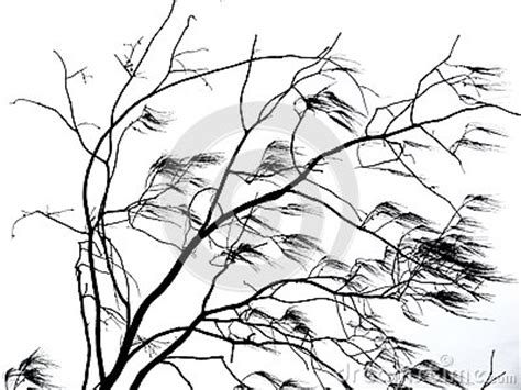 474x355 wind blown tree drawing - Leaves Blowing In The Wind Drawing