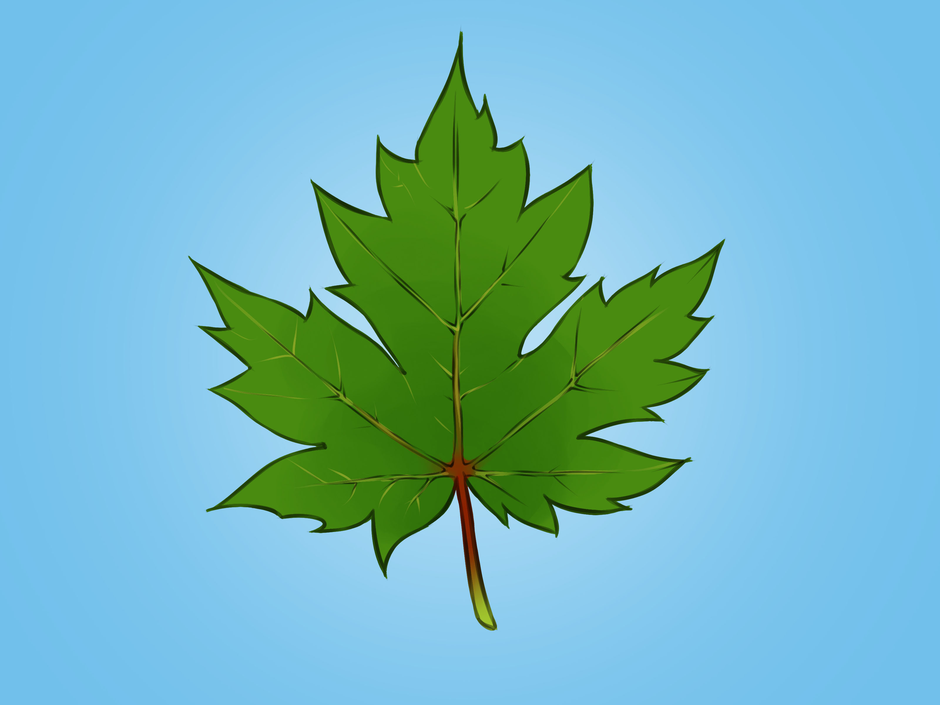 3200x2400 How To Draw A Maple Leaf Steps - Leaves For Drawing