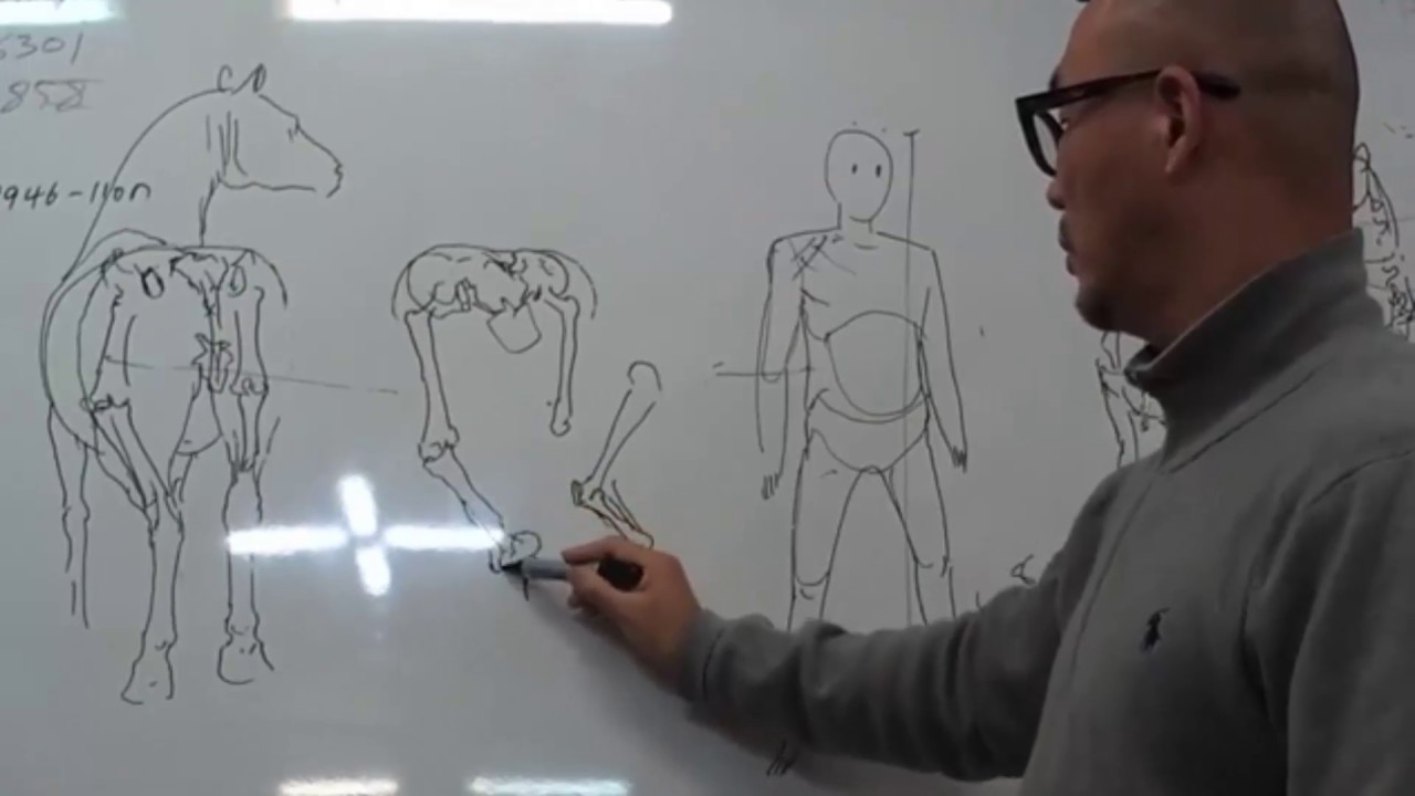 1280x720 lecture of anatomy and perspective kim jung gi and insang hwang - Lecture Drawing