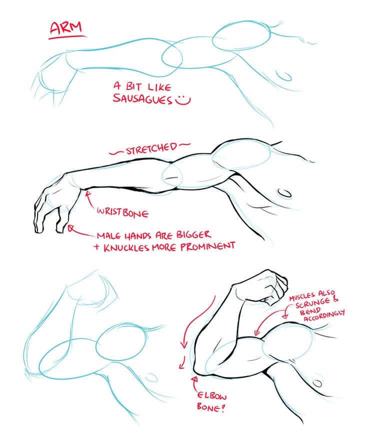 750x876 bodybuilding diet draw me to life drawings, art, guy drawing - Lecture Drawing