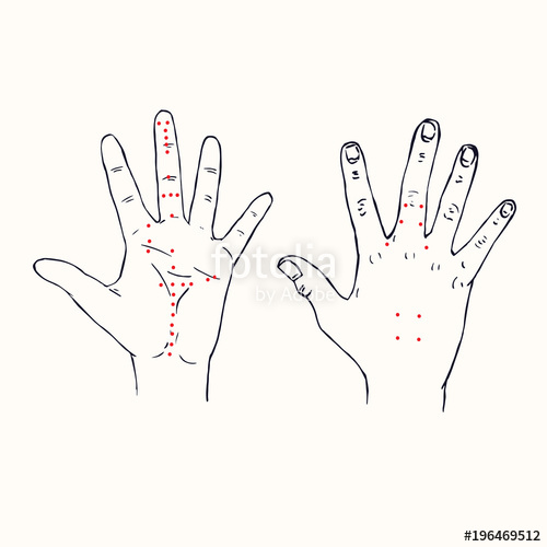 500x500 Hands - Left And Right Hand Drawing