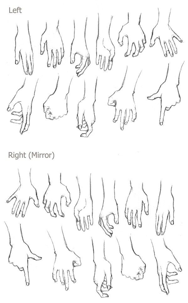 600x965 left and right hands drawings proporciones dibujo, dibujos - Left And Right Hand Drawing
