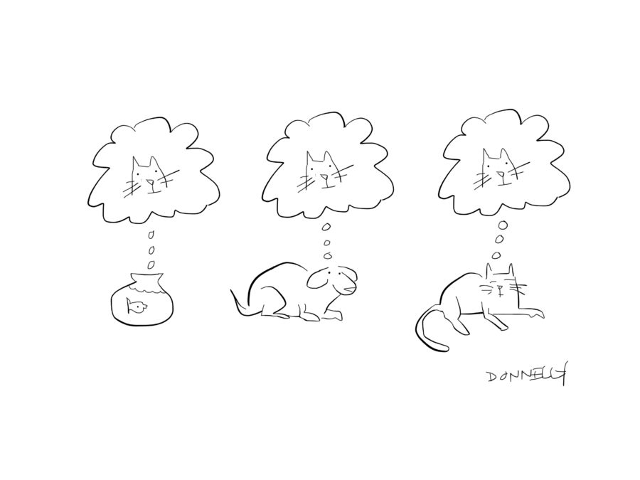 900x675 my left hand vs my right hand creativity revisited liza - Left And Right Hand Drawing