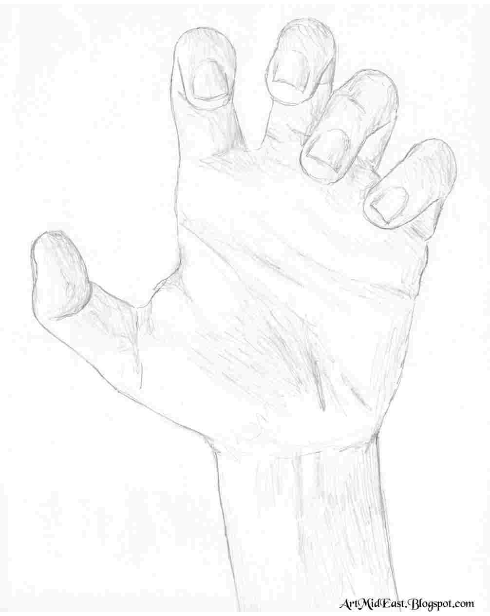 1006x1264 Picture At Getdrawingscom Free For Personal Use Rhgetdrawingscom - Left And Right Hand Drawing