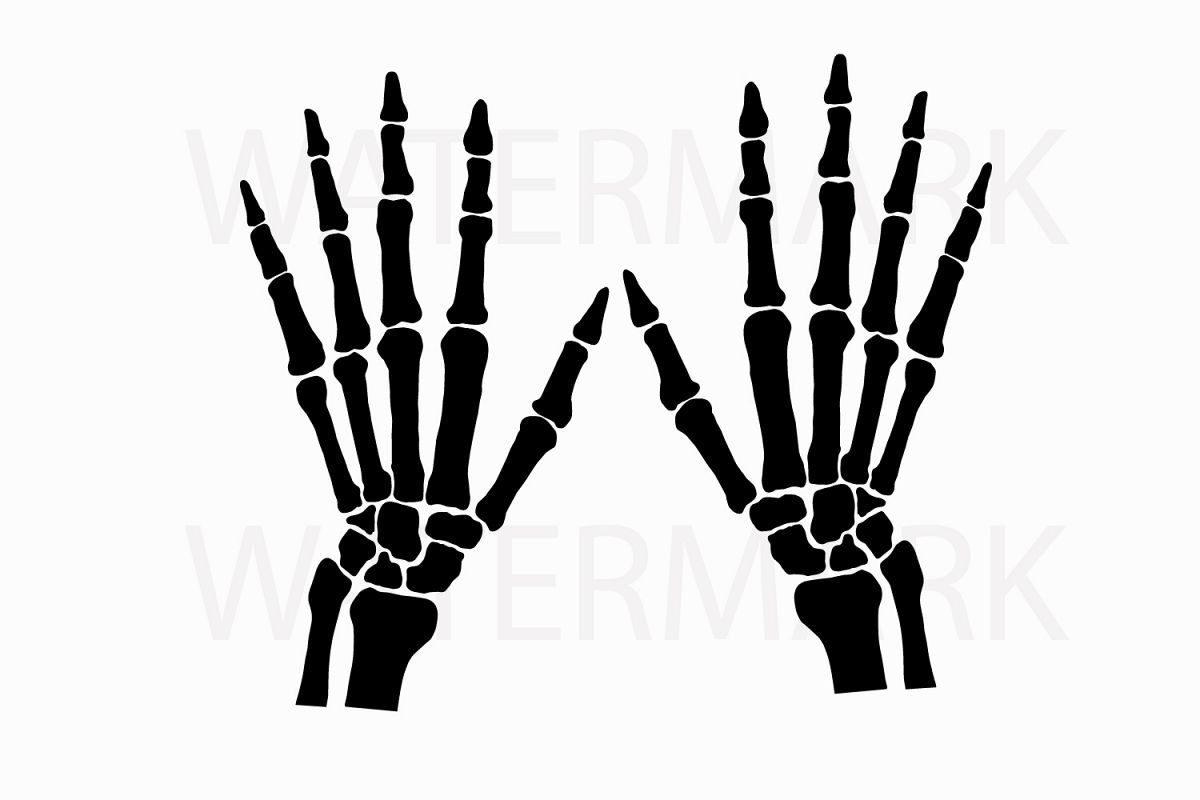 1200x800 skeleton hand left and right - Left And Right Hand Drawing