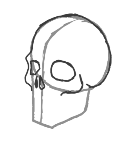 435x488 Drawing A Skull In A Few Simple Steps Drawing Art Blog - Left Drawing