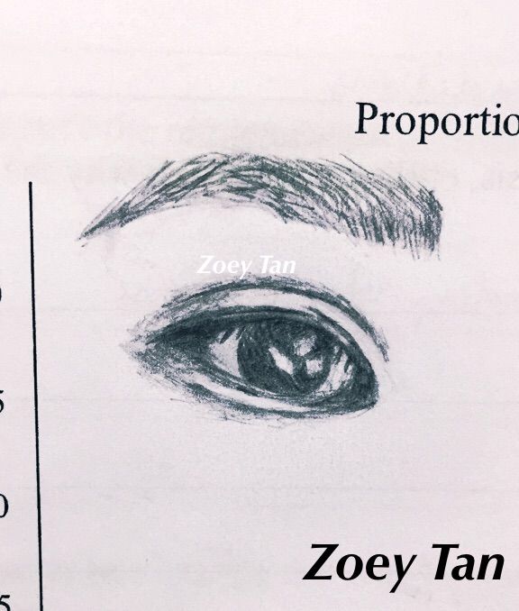 576x678 Left Eye Drawing Army's Amino - Left Eye Drawing