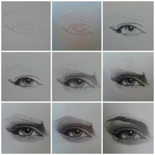 500x500 Step - Left Eye Drawing