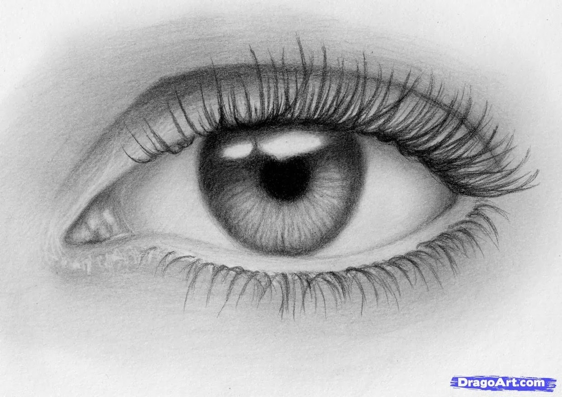 1100x778 Drawing Unit Day - Left Eye Drawing
