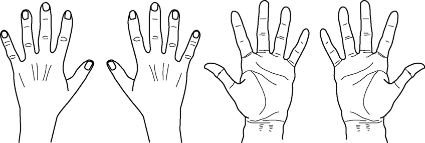 848x285 frontiers hand posture effects on handedness recognition as - Left Hand Drawing