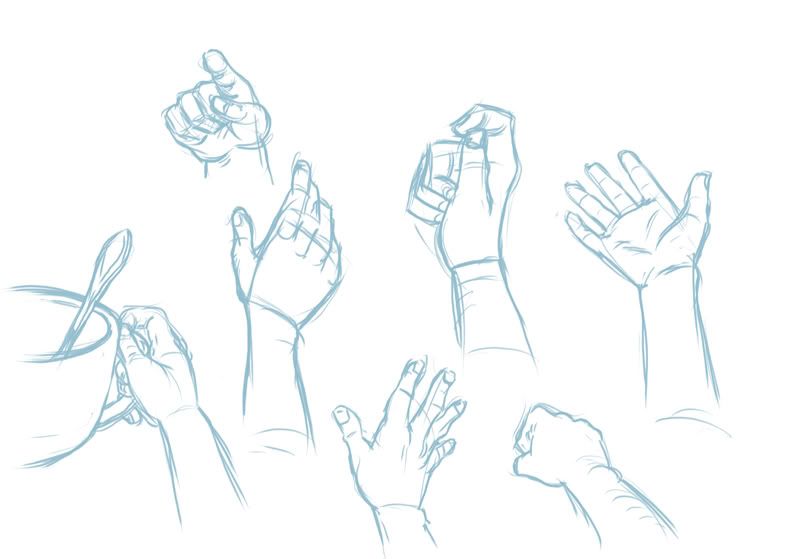 800x559 Back Of Left Hand Drawing - Left Hand Drawing