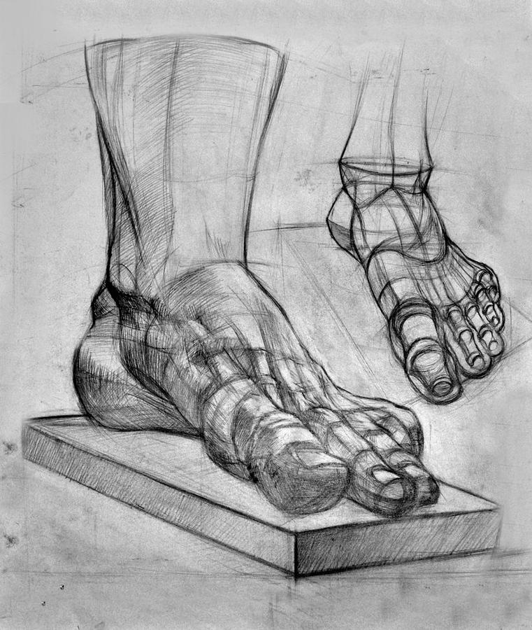 761x900 Leg Anatomy Study Drawing - Leg Anatomy Drawing