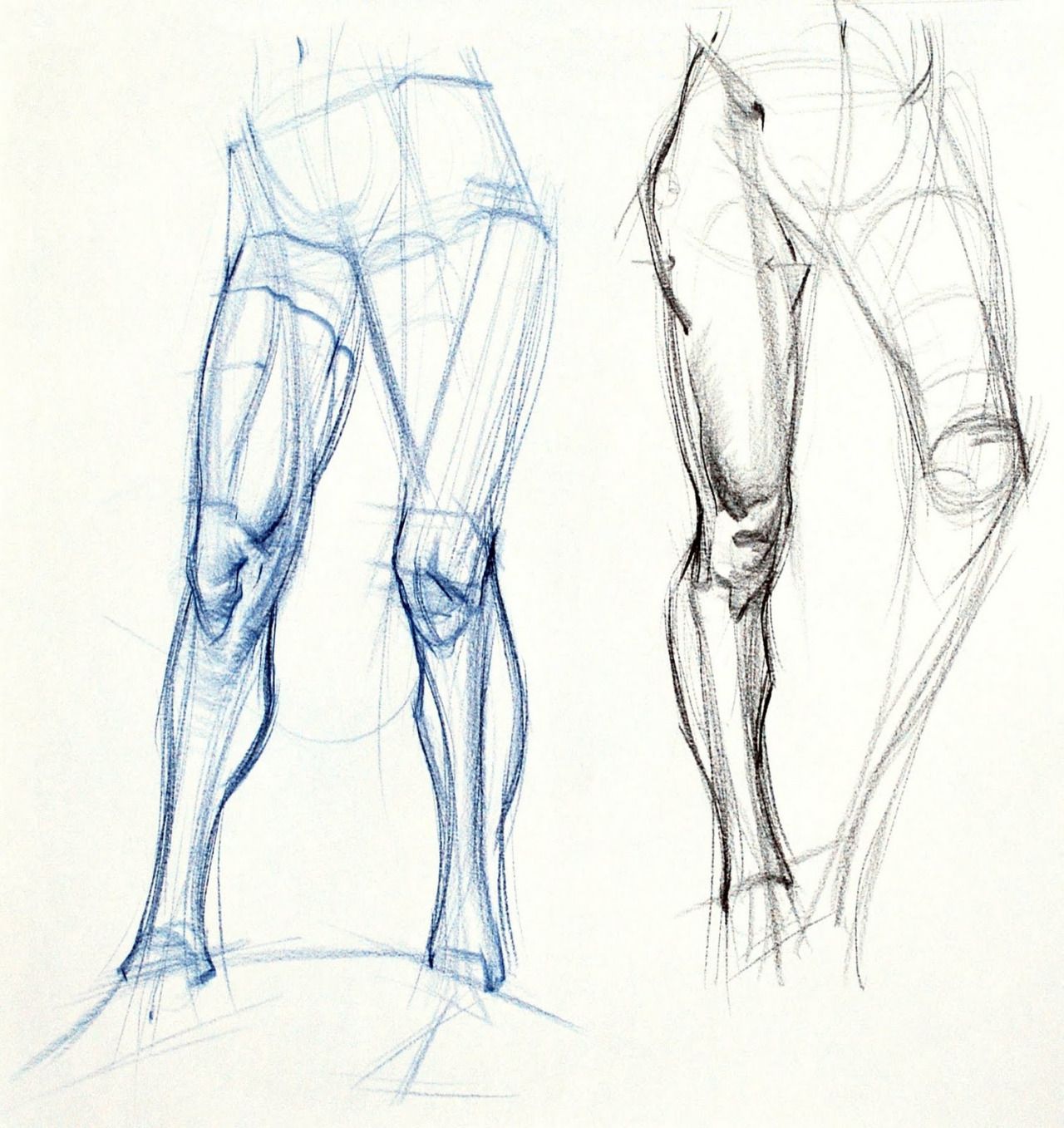 1280x1357 Art And Reference Point References - Leg Anatomy Drawing