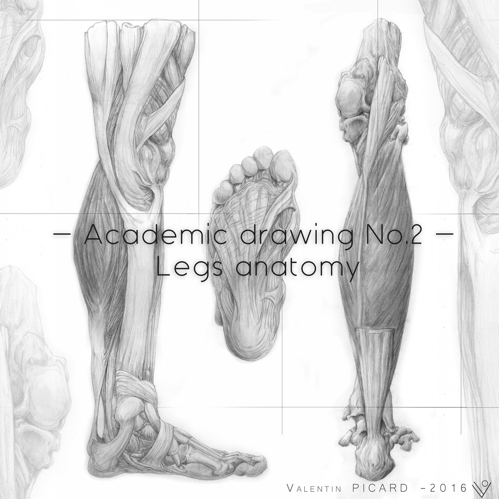 1920x1920 Artstation - Leg Anatomy Drawing