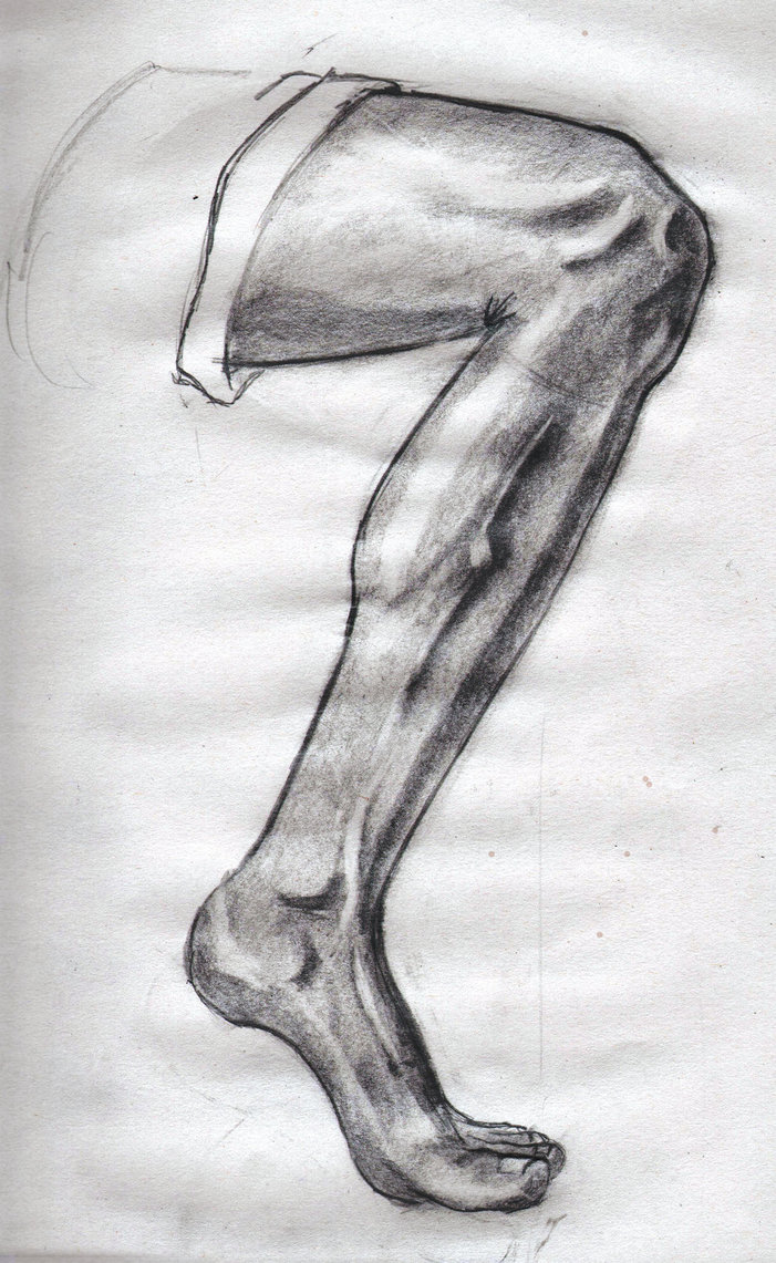 Leg Sketch At Explore Collection Of Leg Sketch