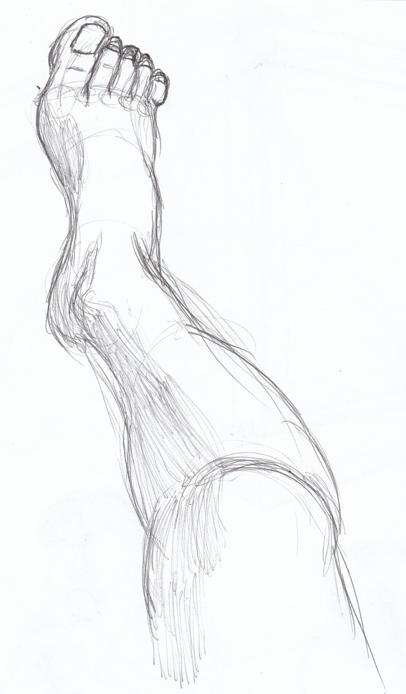 Leg Drawing at Explore collection of Leg Drawing