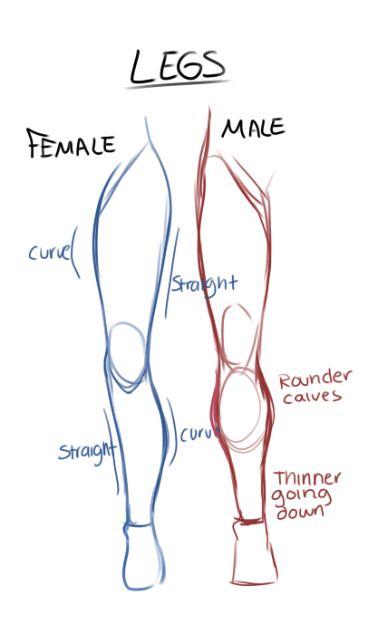 417x700 Forget The Needless Gendering Of The Legs, But This Visual Is - Leg Drawing