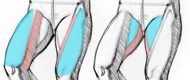 630x267 How To Draw Legs The Adductors Proko - Leg Muscles Drawing