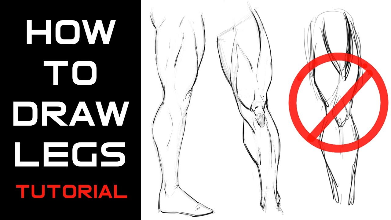 1280x720 How To Draw Muscular Legs Tutorial - Leg Muscles Drawing