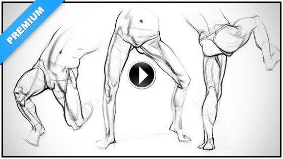 560x315 leg quicksketch inner leg anatomy proko - Leg Muscles Drawing