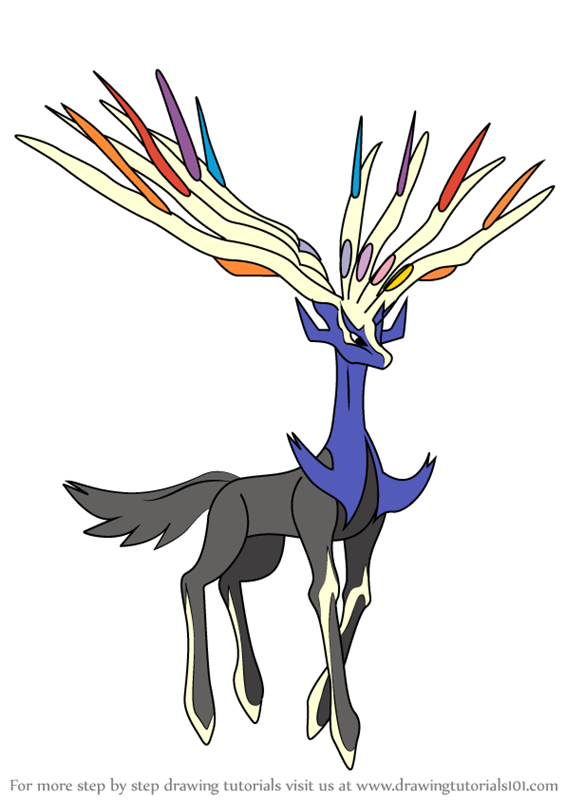565x800 Learn How To Draw Xerneas From Pokemon - Legendary Pokemon Drawing