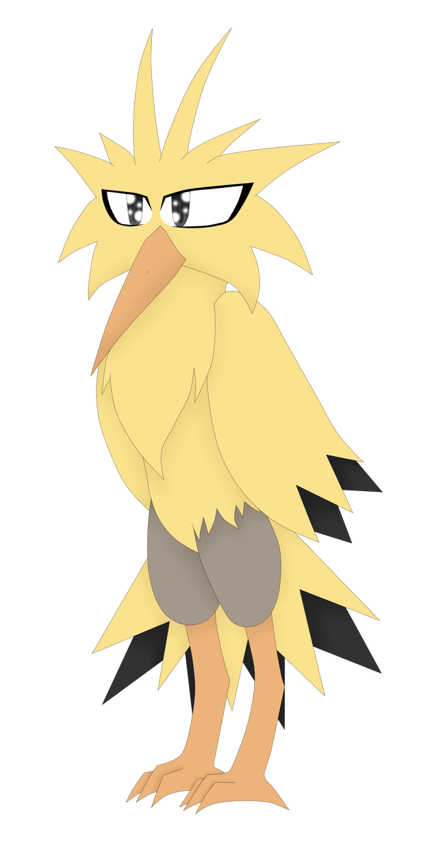 650x1229 Legendary Pokemon Drawing's Zapdos - Legendary Pokemon Drawing