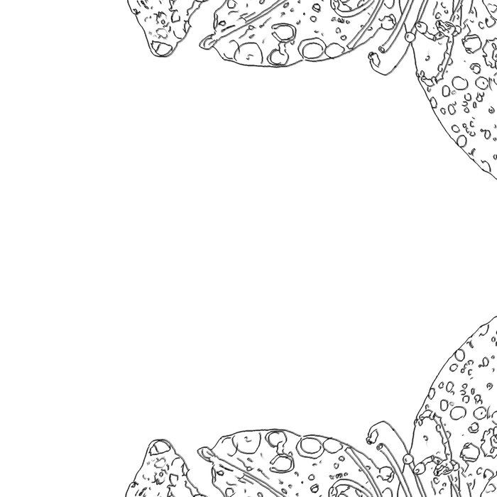 700x700 azalea drawing, black and white leggings - Leggings Drawing