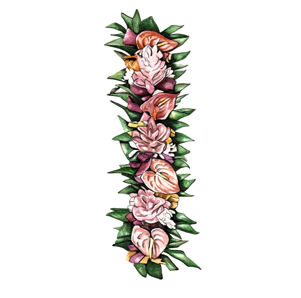 1000x990 haku maui lei po'o greeting cards molly reeder illustrator - Lei Drawing