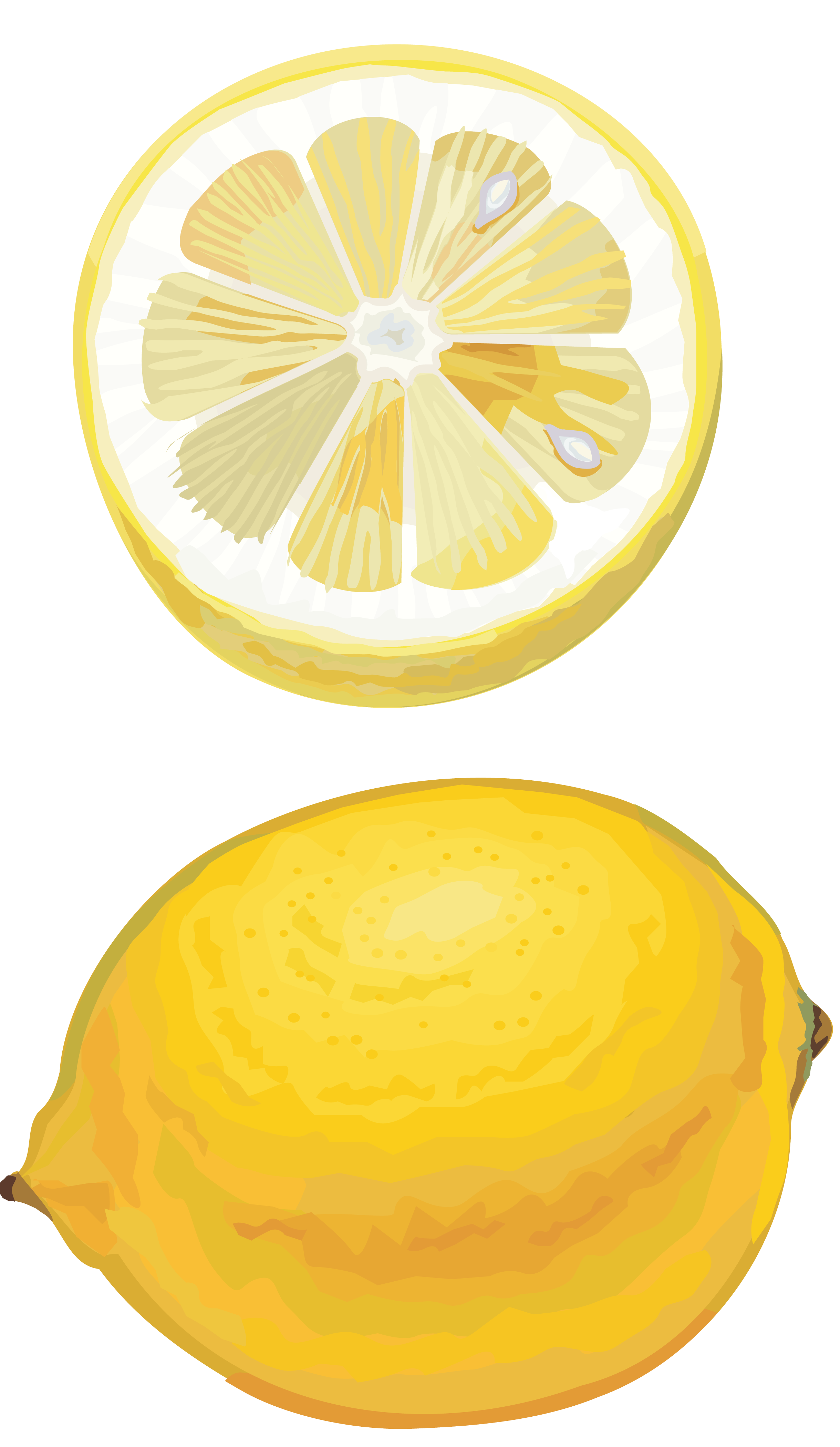 2439x4200 Lemon Drawing Cut Png Image - Lemon Drawing