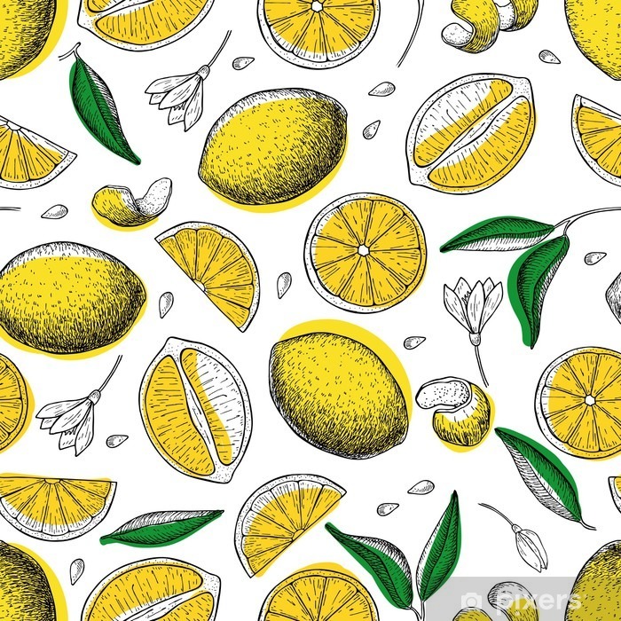 700x700 Lemon Vector Seamless Pattern Drawing Lemon Colorful Background - Lemon Drawing